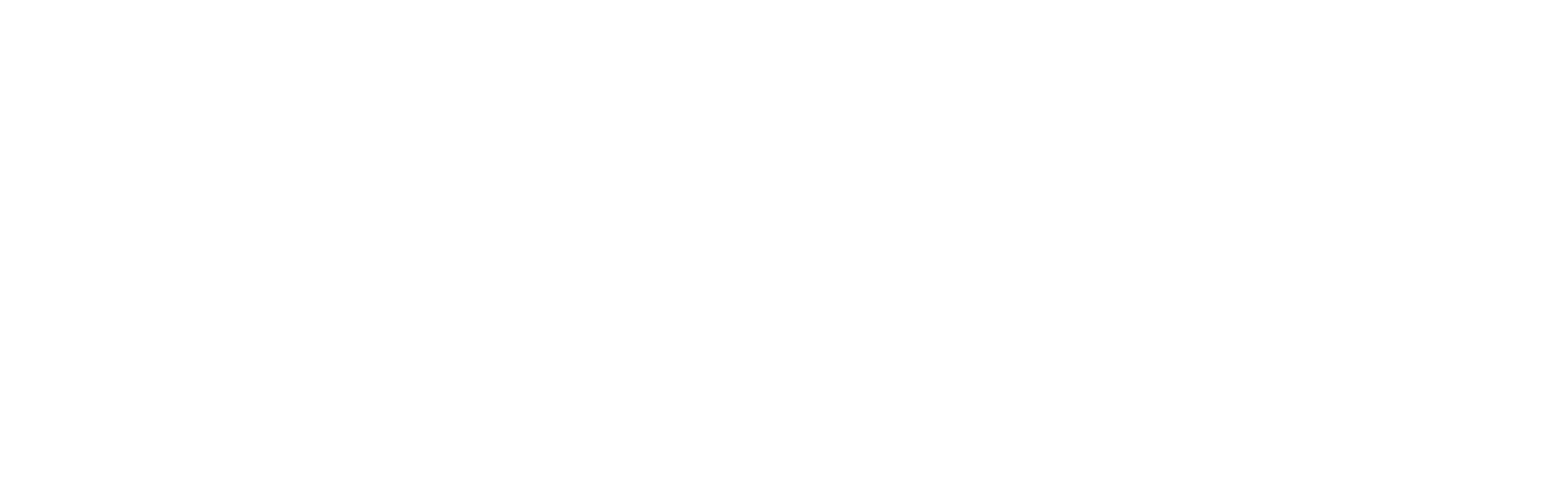 elan HR Consulting